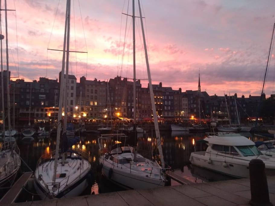Cote Lavoir A Honfleur, Parking Prive, Ascenseur Bagian luar foto